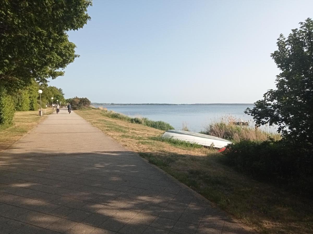Strandgruen Rerik Kültér fotó