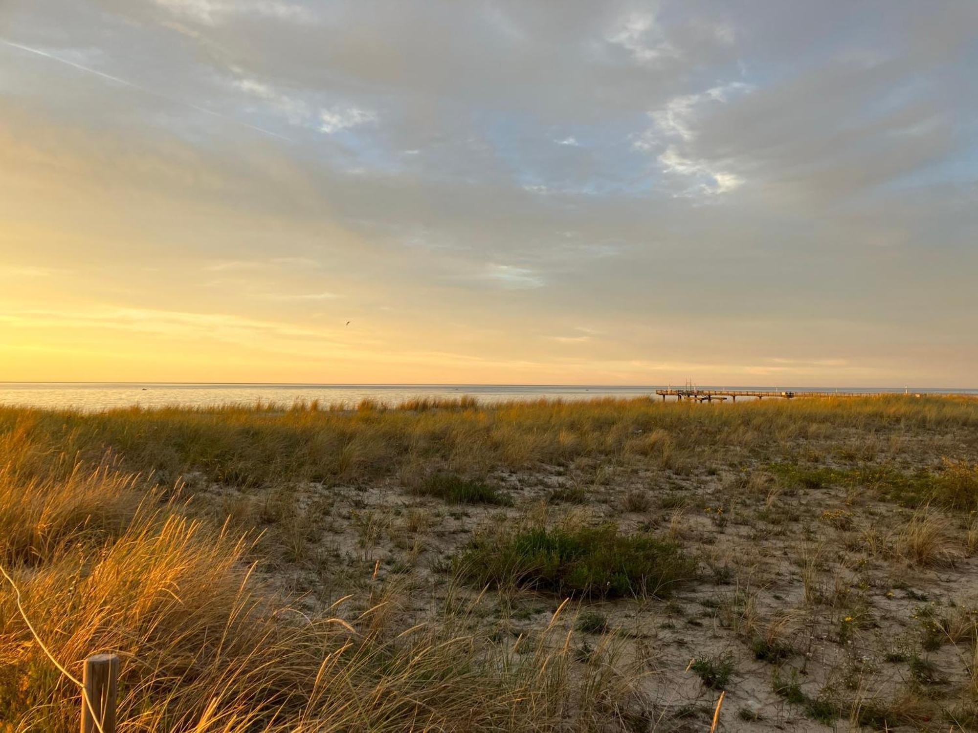 Strandgruen Rerik Kültér fotó