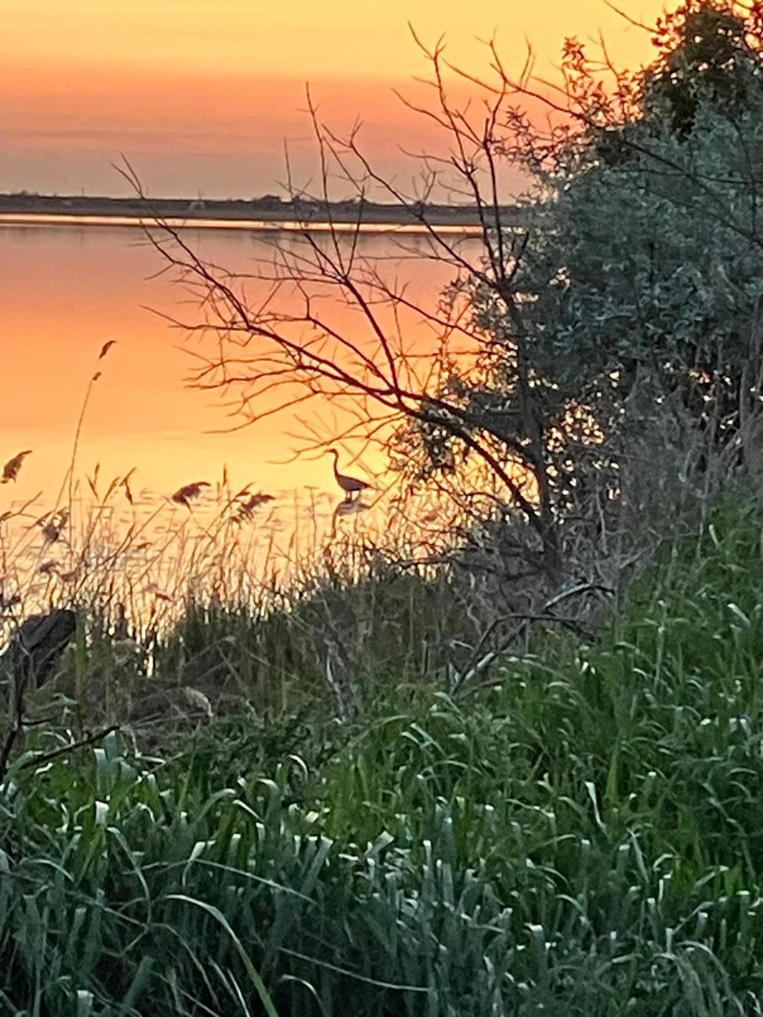 Strandgruen Rerik Kültér fotó